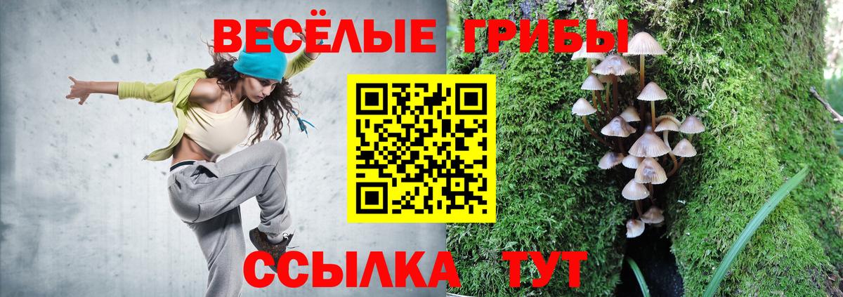продажа наркотиков  Галлюциногенные грибы Cubensis  Вход с VPN  Узловая 